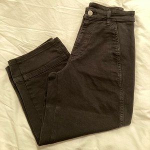 Everlane Utility Barrel Pant